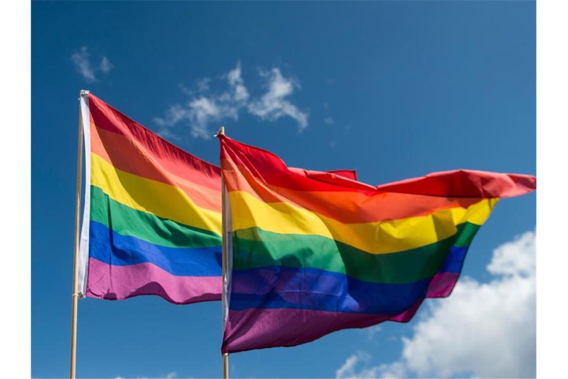 Fahrplan für Antidiskriminierungsgesetz bleibt unklar Regenbogenfahnen wehen im Wind. Foto: picture alliance / Gregor Fischer/dpa/Symbolbild