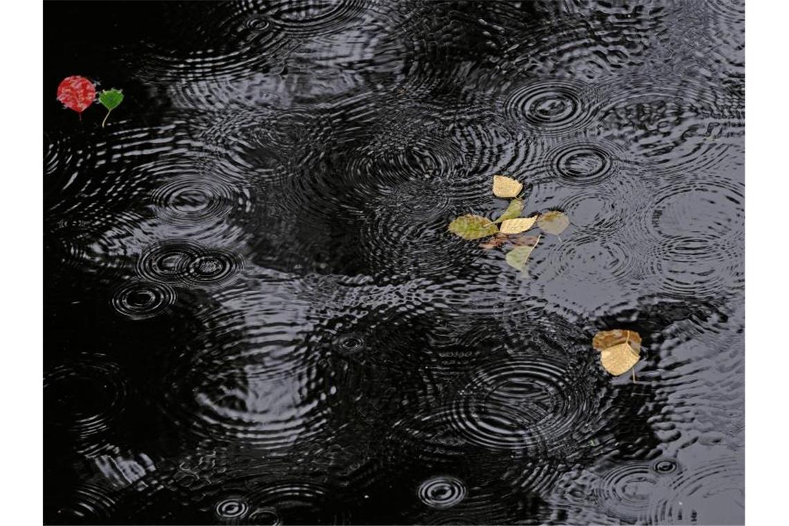 Regentropfen erzeugen Ringe auf der Wasseroberfläche eines Sees. Foto: Paul Zinken/dpa/Symbolbild/Symbolbild