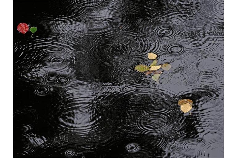 Regentropfen erzeugen Ringe auf einer Wasseroberfläche. Foto: Paul Zinken/dpa/Symbolbild