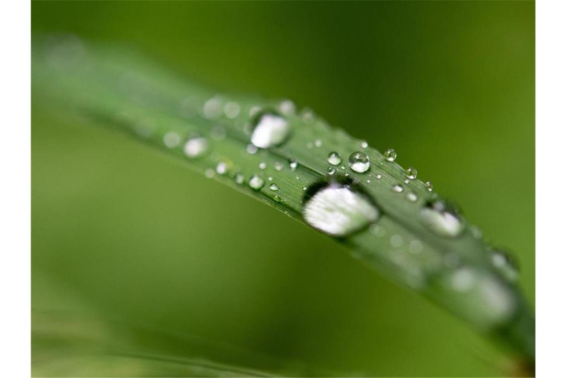 Wetter im Südwesten wird regnerisch