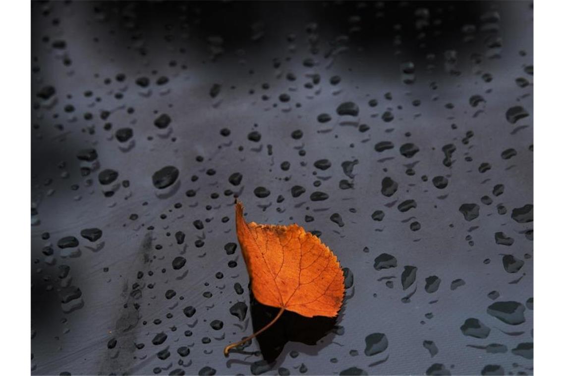 Regentropfen und ein heruntergefallenes Blatt auf der Scheibe eines Wagens. Foto: Paul Zinken/dpa