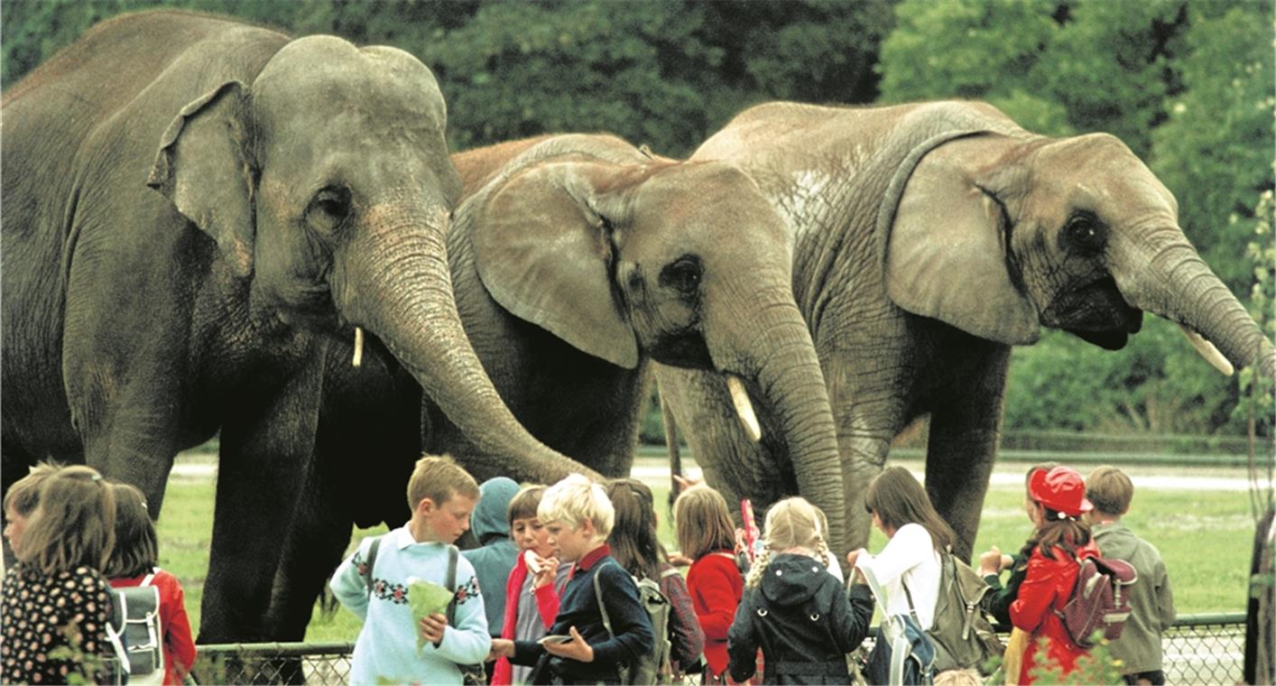 „Keine Klassenfahrten in Gefahr“ Reichen die Gelder noch für die Klassenfahrt in den Zoo? Die Schulleiter im Raum Backnang sehen die Diskussionen mit Gelassenheit. Foto: Imago