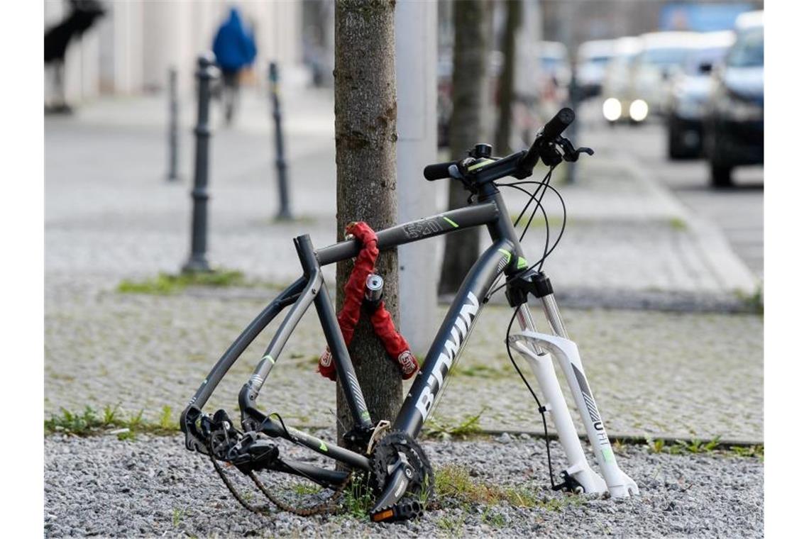 Reifen und Sattel sind weg, nur noch der Rahmen eines Fahrrads ist - hier in Berlin - an einen Baum gekettet. Foto: Jens Kalaene/dpa-Zentralbild/dpa