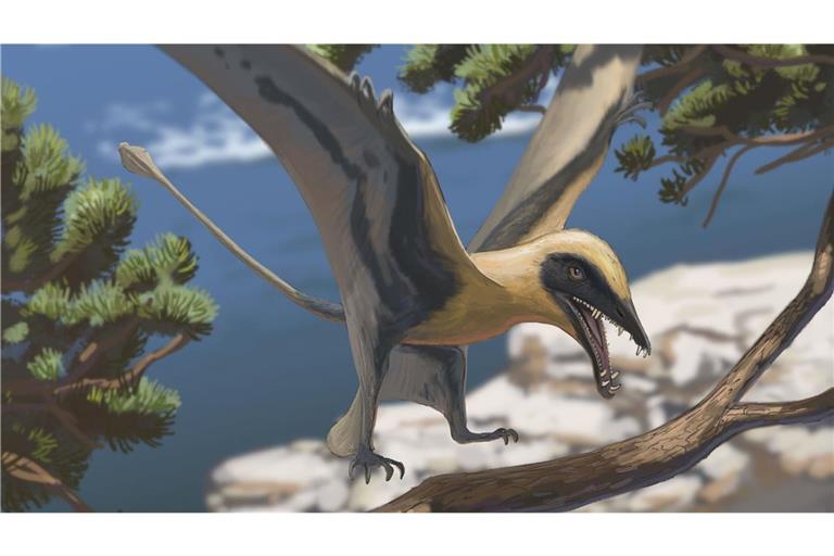 Rekonstruktion des Flugsauriers Eudimorphodon