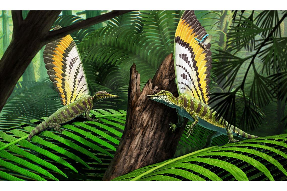 Wie ein fossiler „Wundersaurier“ das Verständnis der Reptilien-Evolution verändert Rekonstruktion und Illustration von Mirasaura in seiner natürlichen Waldumgebung bei der Jagd auf Insekten.