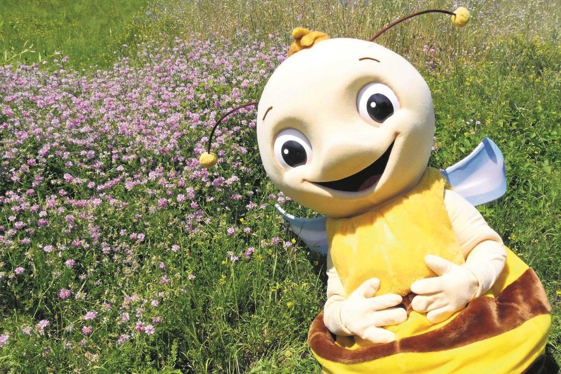Remsi freut sich: Blühende Wiesen sind einfach toll für Insekten. Foto: Landratsamt