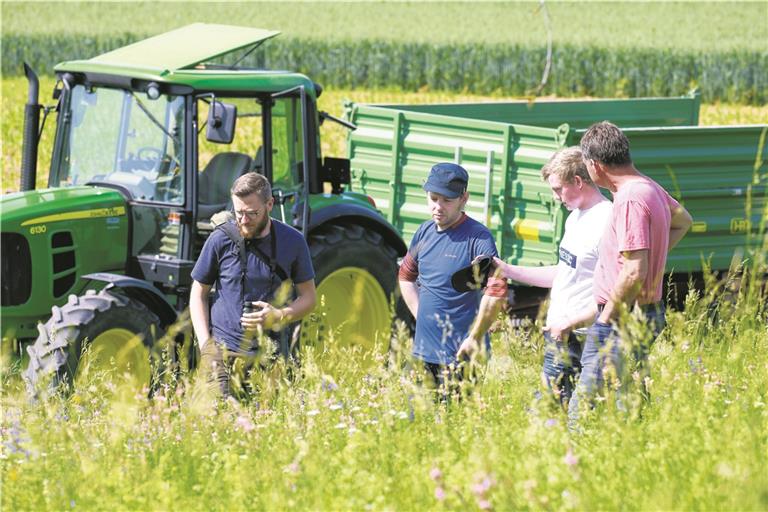 René Greiner, Landschaftsökologe beim Landesjagdverband, Jochen Schäufele vom Nabu Aspach, Sebastian Bäuerle, Nachwuchslandwirt aus Kleinaspach, und Matthias Holzwarth, ebenfalls Landwirt aus Kleinaspach (von links), sind sich einig, dass Naturschützer und Landwirtschaft besser zusammenarbeiten müssen. Fotos: A. Becher