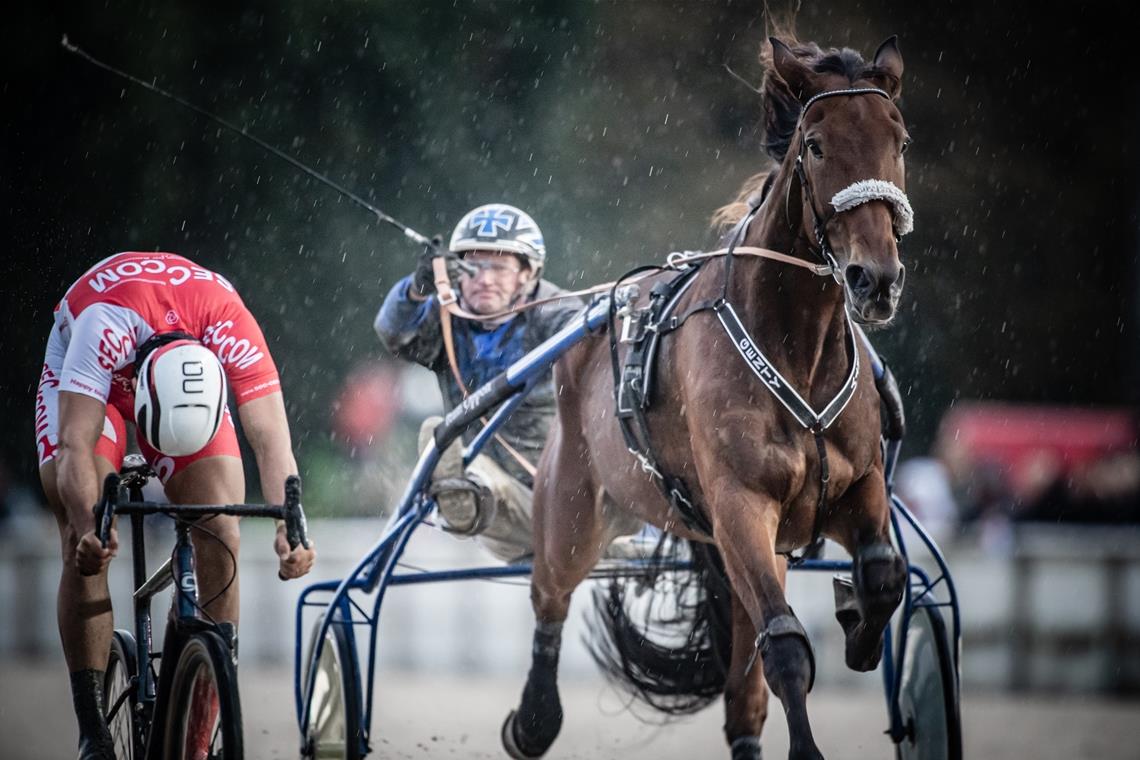 Mit dem Rad auf der Pferderennbahn Rennfahrer gegen Traber: Andreas Mayr gewann das Duell nur knapp. Fotos: RC Olympia Buer