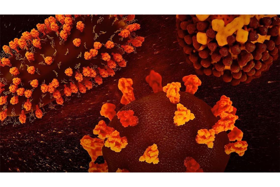 Respiratorisches Synzytial-Virus