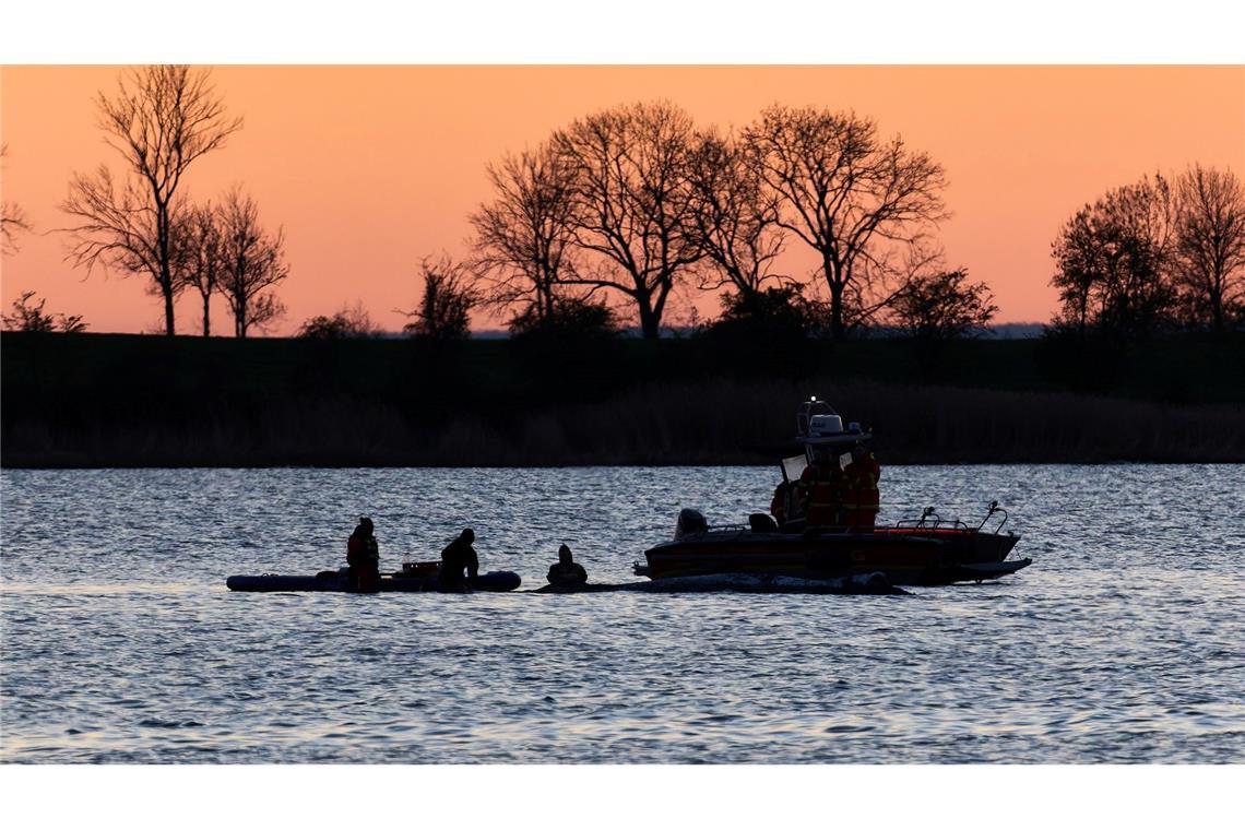 Retten oder nicht retten? Beim Umgang mit dem Wal sind viele Fragen offen.