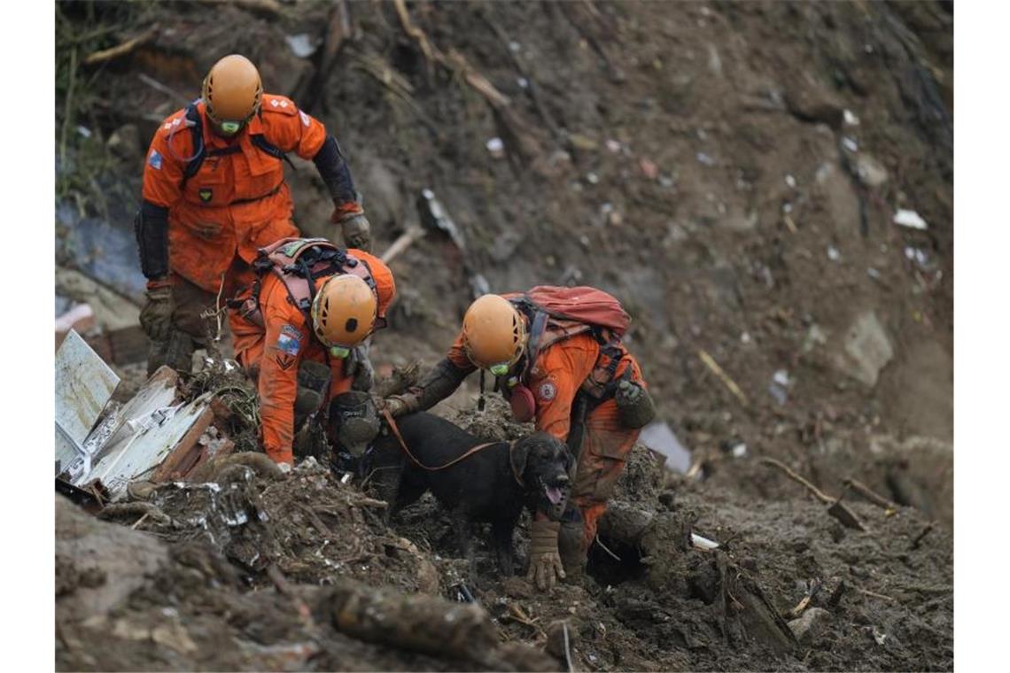 Schon mehr als 100 Tote nach Regen und Erdrutschen bei Rio Rettungskräfte suchen im brasilianischen Petrópolis mit einem Spürhund nach Opfern des Erdrutsches. Foto: Silvia Izquierdo/AP/dpa