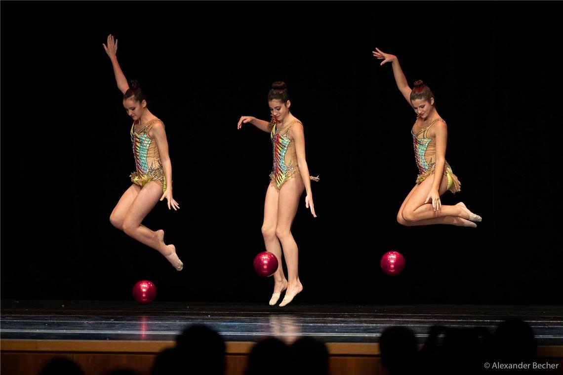 Rhythmische Sportgymnastik mit dem TSV Schmiden.