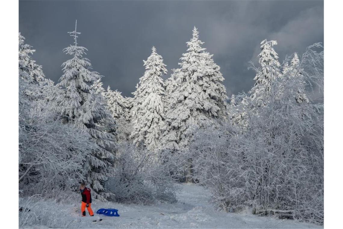 Ein Hauch Winter - Schnee und Skispaß zum Advent Rodel gut auf dem Feldberg im Taunus. Foto: Boris Roessler/dpa