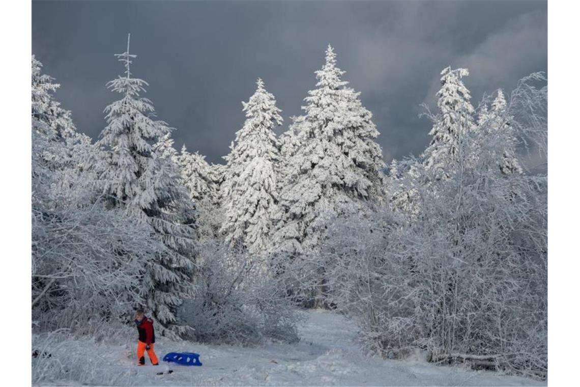 Rodel gut auf dem Feldberg im Taunus. Foto: Boris Roessler/dpa