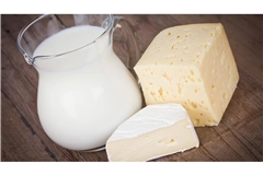 Rohmilchkäse-Sorten sind besonders von EHEC gefährdet.