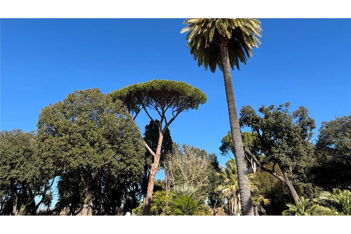 Rom verfügt über eine große botanische Vielfalt.