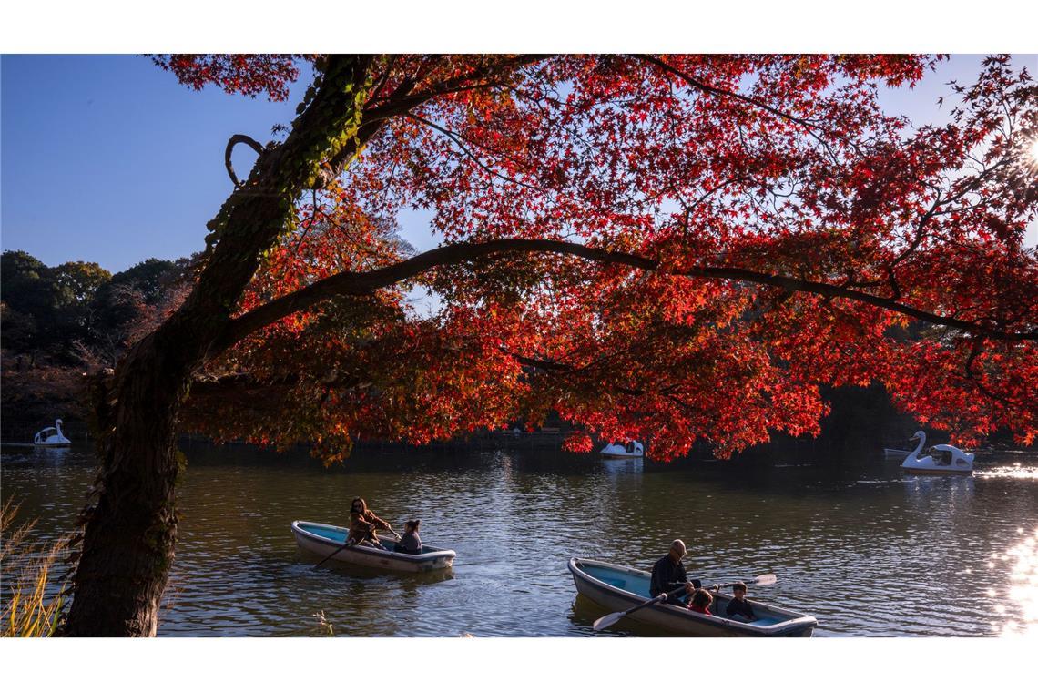 Romantik pur bietet der Herbst in Tokio.