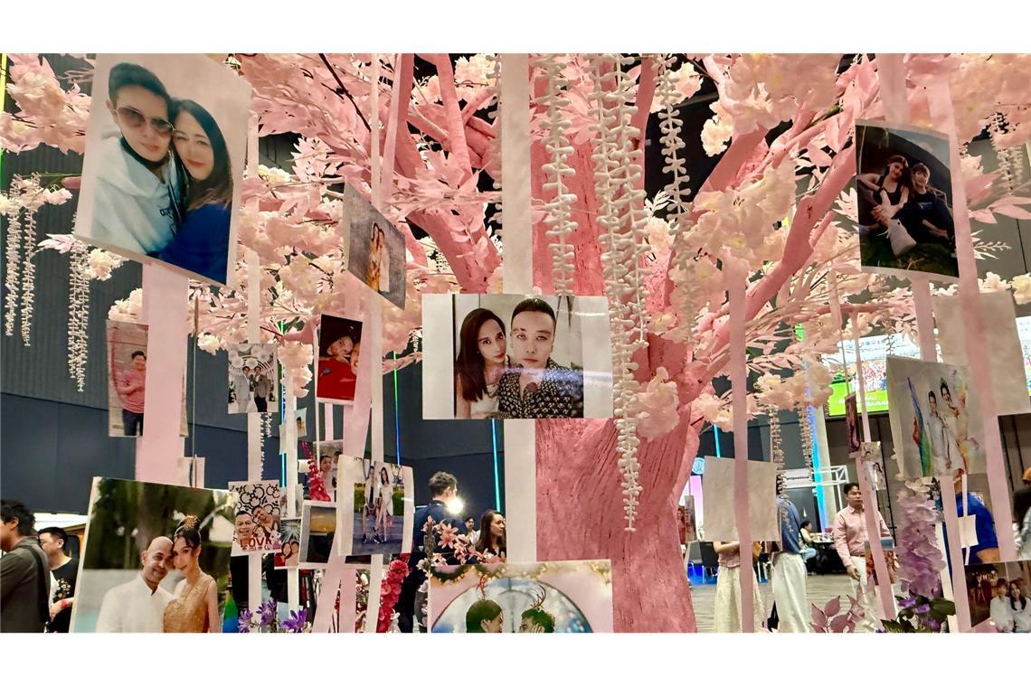 Queeres Liebesfest: Thailand feiert die "Ehe für alle" Romantische Deko: An einem rosa Liebesbaum waren Fotos queerer Paare zu sehen.