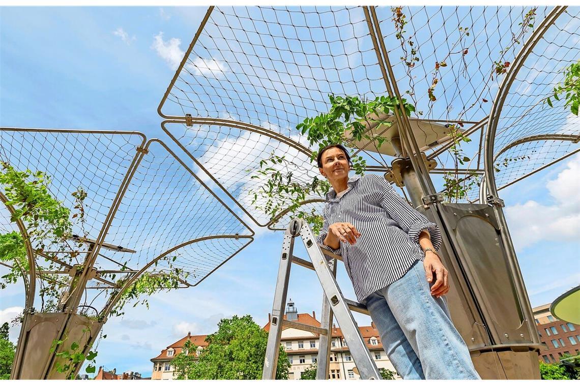 Rosa Pöttinger ist zurzeit mindestens jeden zweiten Tag bei den Ecotriis am Marienplatz in Stuttgart und schaut nach den Pflanzen. Sie müssten jetzt gut anwachsen, das sollte in den nächsten ein, zwei Wochen passieren.