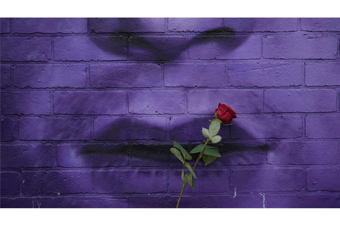 Bilder des Tages Rosen für Ozzy