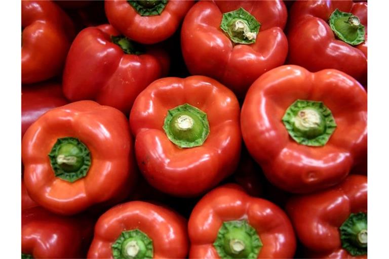 Rote Paprika. Foto: Britta Pedersen/dpa-Zentralbild/ZB/Symbolbild