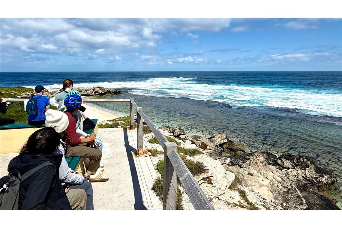 Australiens Selfie-Stars: Zu Gast bei den lächelnden Quokkas Rottnest Island bietet herrliche Landschaften.