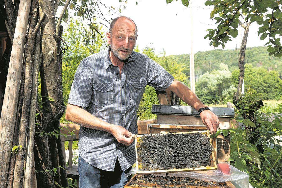 Rudolf Hofmann ist ein begeisterter Imker. Fotos: J. Fiedler