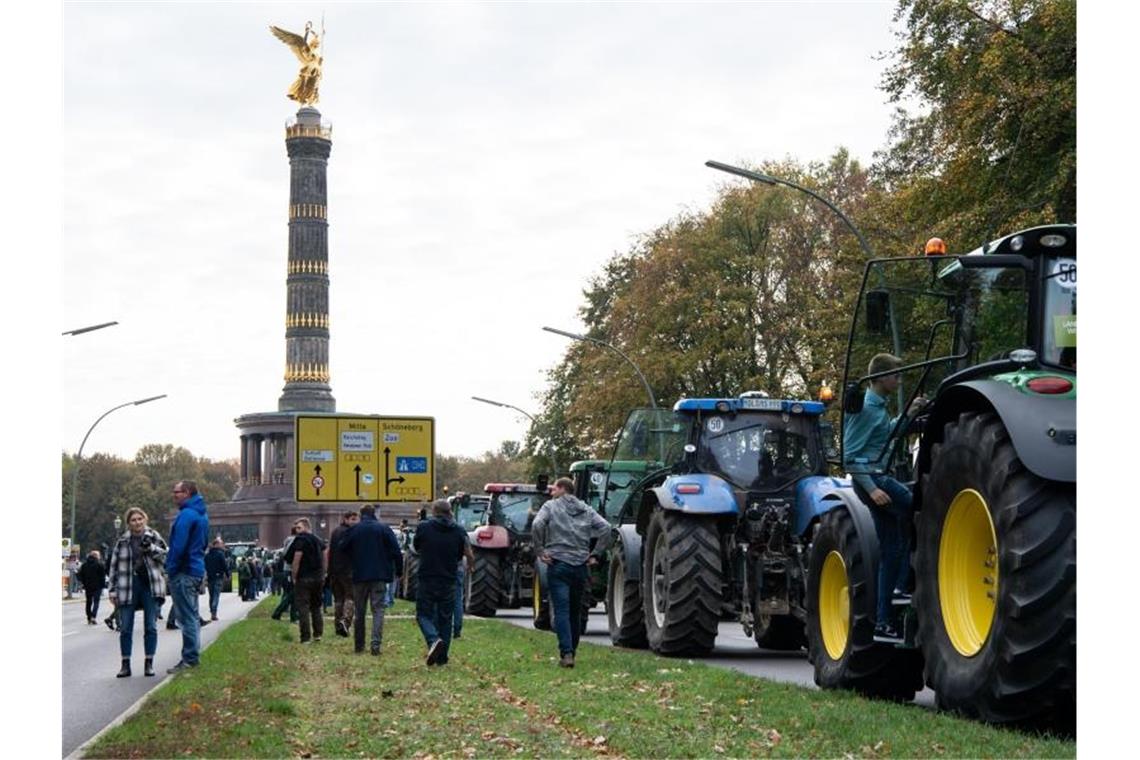Rund 1000 Bauern kamen mit ihren Traktoren aus verschiedenen Orten Brandenburgs per Sternfahrt nach Berlin-Mitte. Foto: Bernd von Jutrczenka/dpa