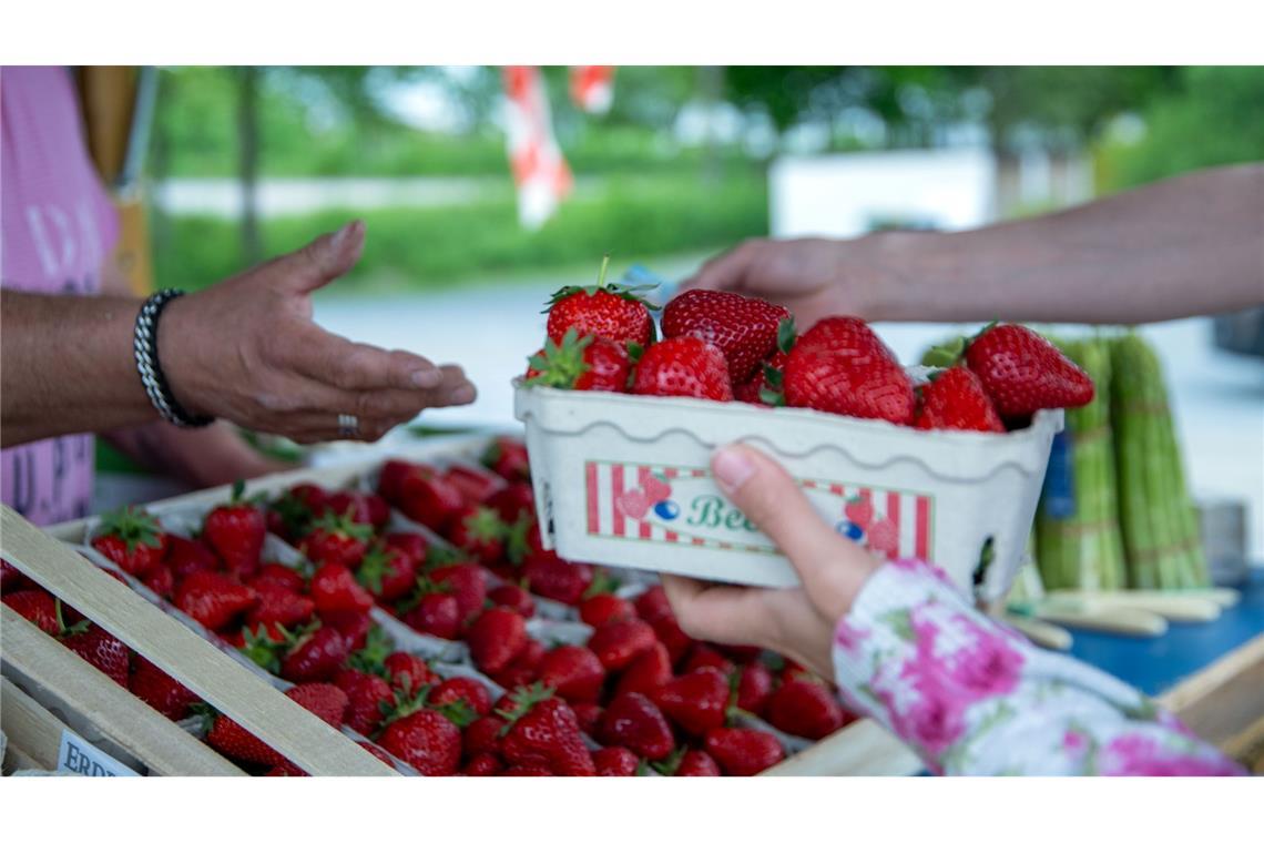 Die Erdbeere ist Deutschlands Lieblingsfrucht Rund 3,3 Kilo Erdbeeren essen die Menschen in Deutschland durchschnittlich im Jahr. (Archivbild)