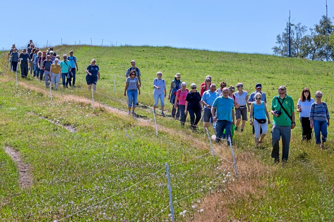 Rund 40 Teilnehmer kamen zum ersten BKZ-Wandertag nach Althütte. Fotos: Alexander Becher