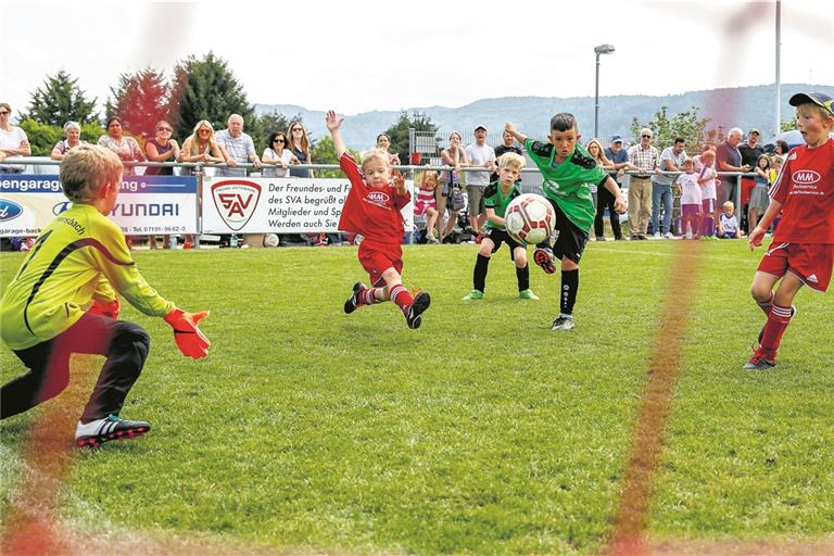 Rund 500 Jungen und Mädchen warfen auf der Sportanlage des SV Allmersbach alles in die Waagschale, um mit ihren Teams möglichst viele Siege einzufahren.Fotos: A. Becher (4)/T. Sellmaier