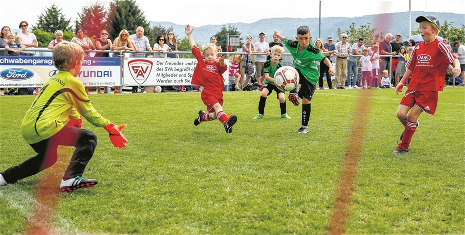 Den Stars etwas vorgemacht Rund 500 Jungen und Mädchen warfen auf der Sportanlage des SV Allmersbach alles in die Waagschale, um mit ihren Teams möglichst viele Siege einzufahren.Fotos: A. Becher (4)/T. Sellmaier