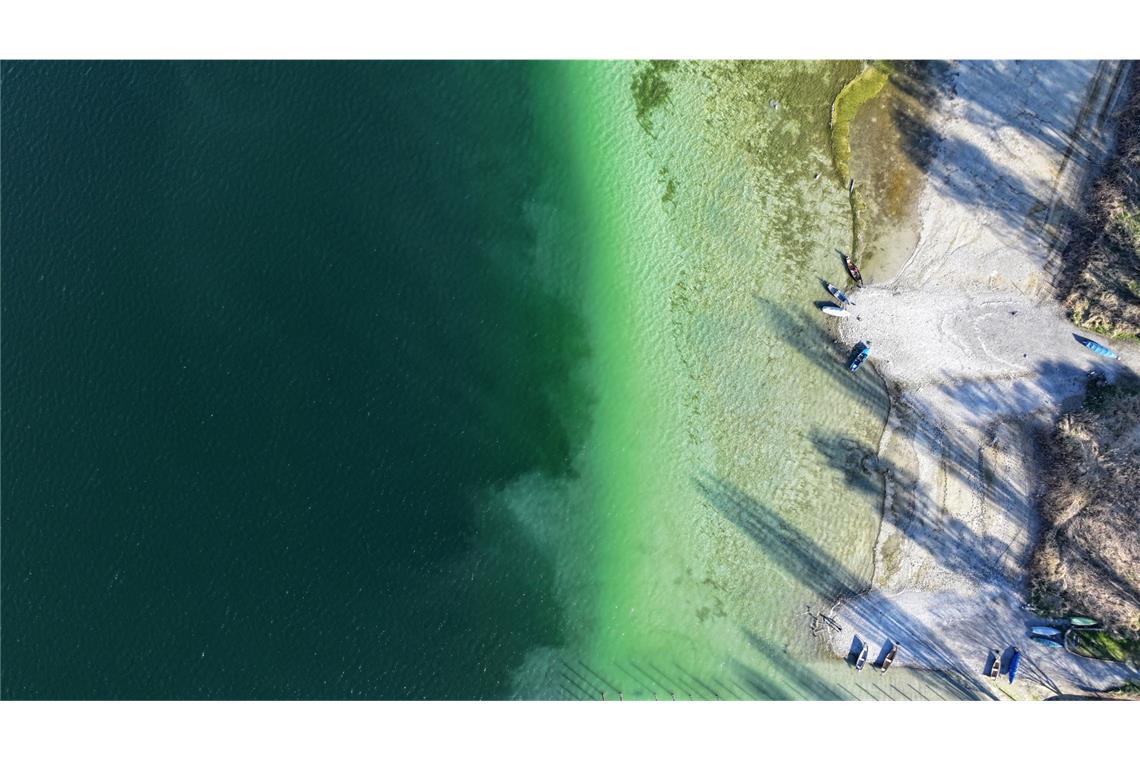 Der Bodensee lädt zum Wattwandern Rund um die Insel Reichenau wird das deutlich.