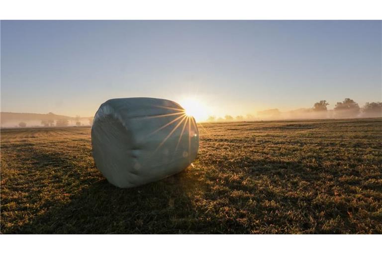 Rundballen liegen auf einer frisch gemähten Wiese, während im Hintergrund die Sonne aufgeht.