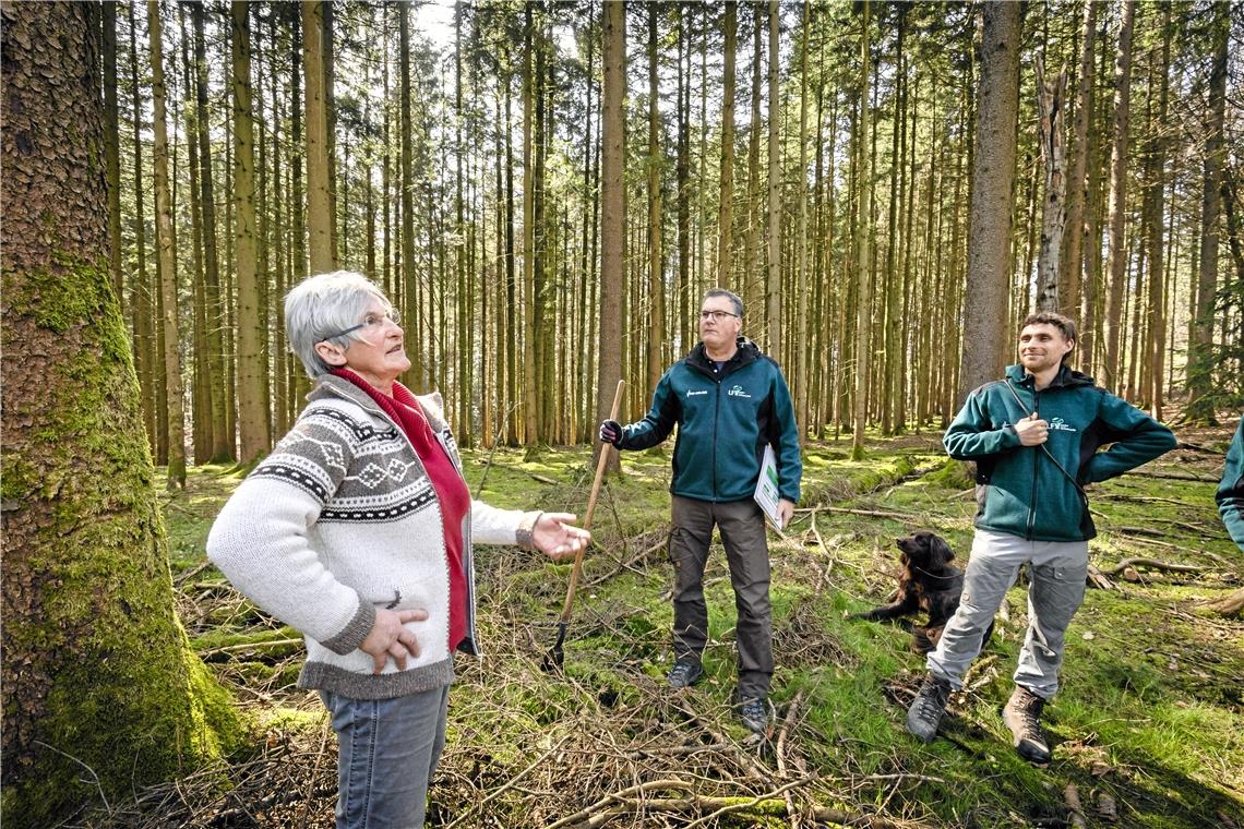 Ruth Staita, Andreas Schlär und Kilian Knötzele (von links) begutachten die Bäume im Sulzbacher Wald. Manche sind von Borkenkäfern befallen. Fotos: Alexander Becher