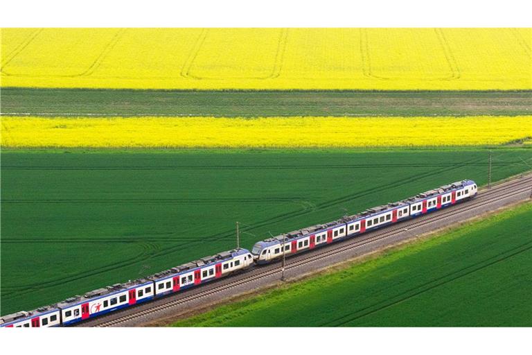 S-Bahn fährt durch blühende Landschaft in NIdersachsen