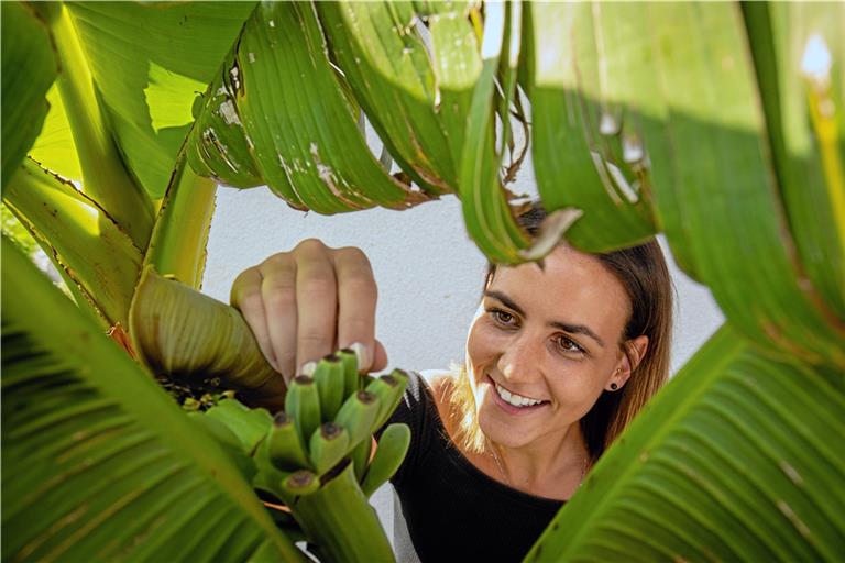 Sabrina Baldok freut sich über den Nachwuchs im Garten der Familie in Auenwald-Hohnweiler. Die krummen Früchte der Banane wachsen Richtung Himmel, nicht Richtung Boden. Foto: A. Becher