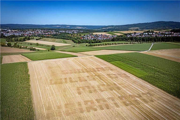 „Sabrina, willst du mich heiraten?“ Mit dem Grubber hat Simon Braun die gigantischen Buchstaben in die Erde gezogen. Foto: Alexander Becher