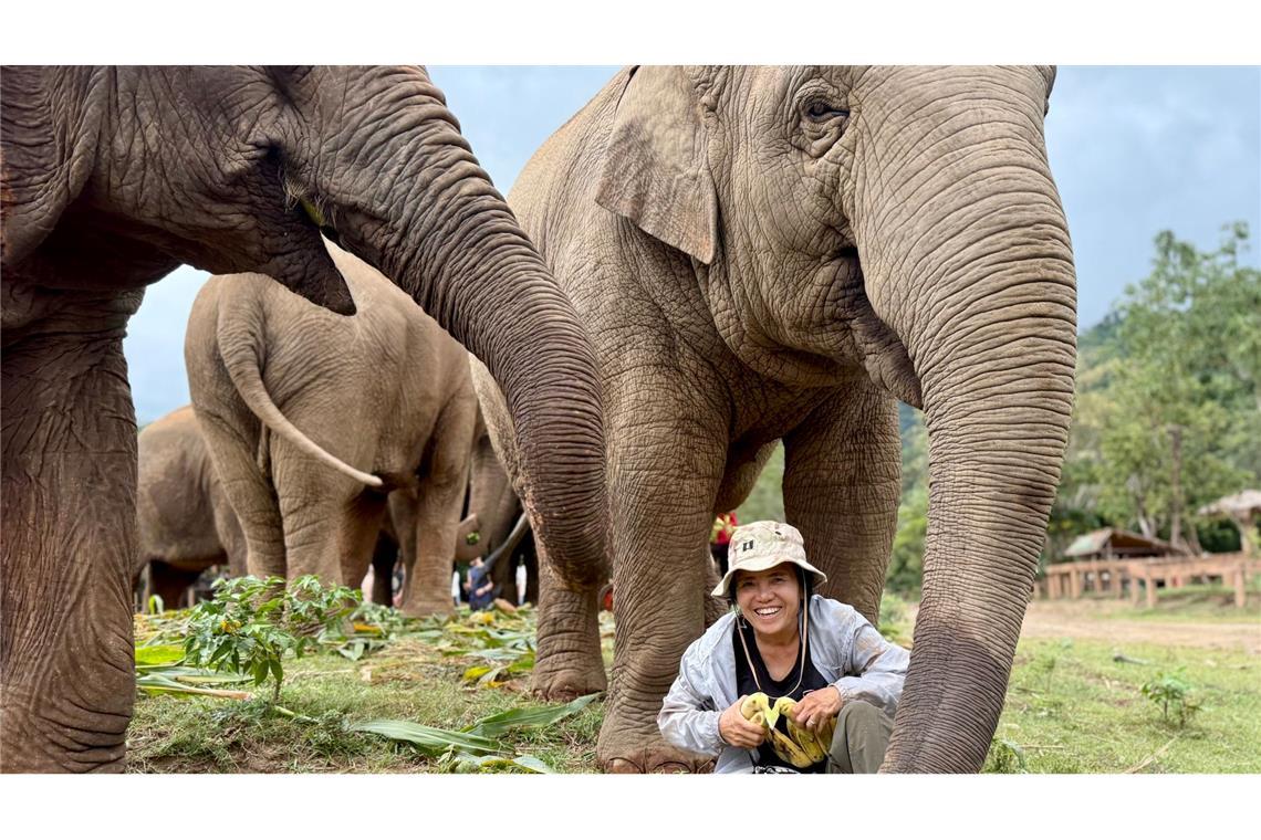 Saengduean "Lek" Chailert verbringt täglich viel Zeit mit ihren Elefanten.