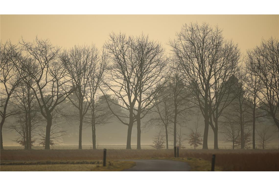 Saharastaub am Morgenhimmel.