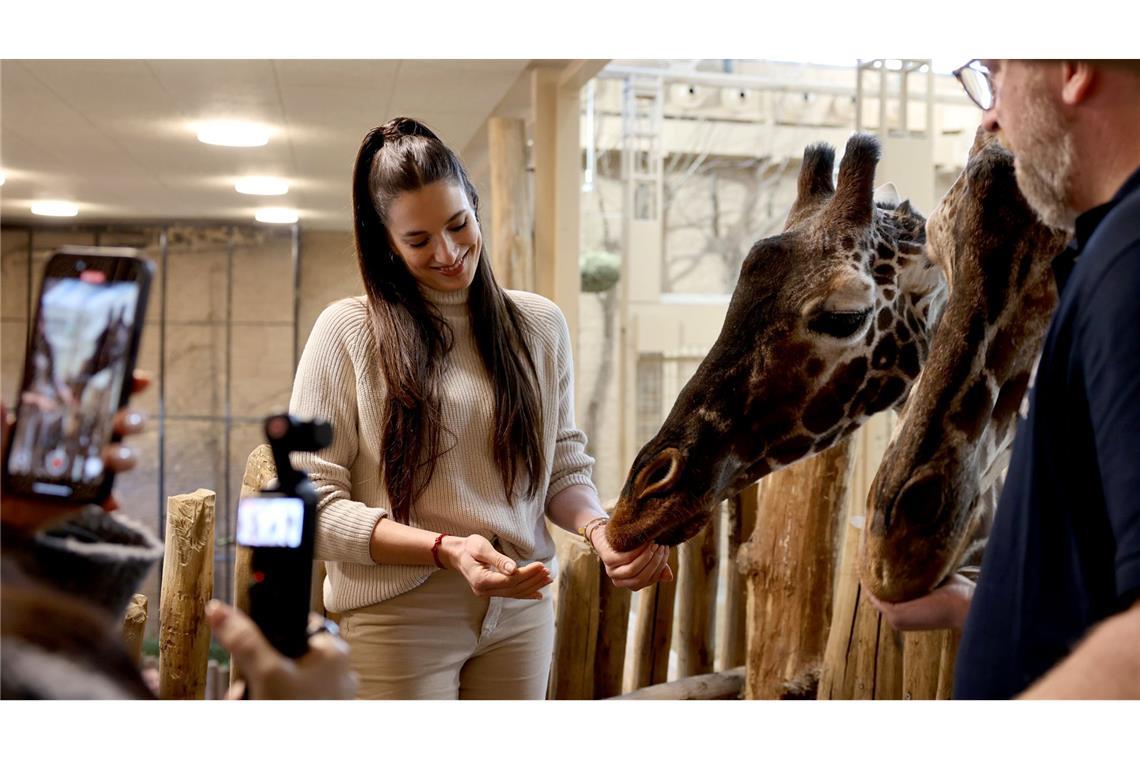 Was Back-Youtuberin Sally bei den Giraffen macht Sally Özcan ist jetzt Giraffen-Patin.