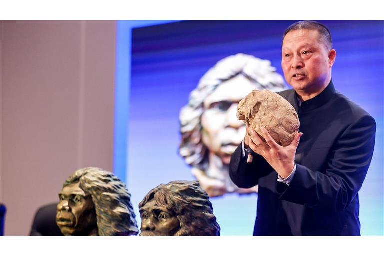 Schädelrekonstruktion des „Yunxian Man“ im Provinzmuseum von Hubei in Wuhan.