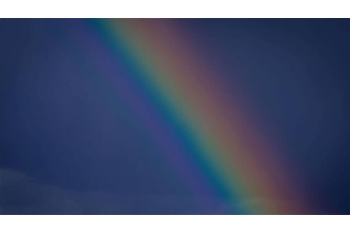 Schafe am Ende des Regenbogens.