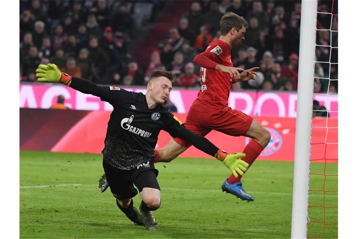 S04-Torwartfrage: Schubert-Patzer statt Stammplatz-Argument Schalke-Torwart Markus Schubert kassierte fünf Treffer gegen den FC Bayern München. Foto: Angelika Warmuth/dpa