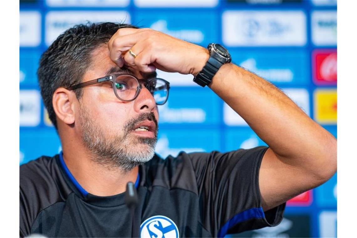 Schalke-Trainer David Wagner auf der Pressekonferenz in Gelsenkirchen. Foto: Guido Kirchner