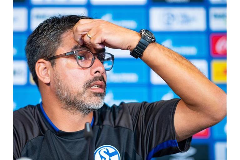 Schalke-Trainer David Wagner auf der Pressekonferenz in Gelsenkirchen. Foto: Guido Kirchner