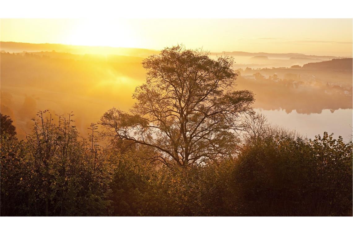 Unter der Eifel brodelt flüssiges Magma Schalkenmehrer Maar nahe Daun in der Vulkaneifel im Herbst bei Sonnenaufgang.