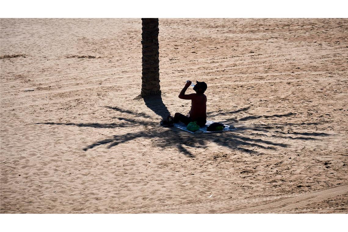 Schattenspiel: Ein Mann nutzt den Schatten einer Palme, während er an einem heißen Tag am Strand von Barcelona Wasser trinkt.