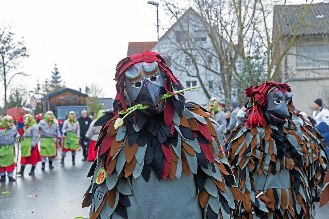 Schaurig-schöne Masken gab es für die Zuschauer ebenso zu bestaunen wie typische Vertreter des rheinischen Karnevals mit Garden, Elferräten und Prinzenpaaren. Fotos: J. Fiedler