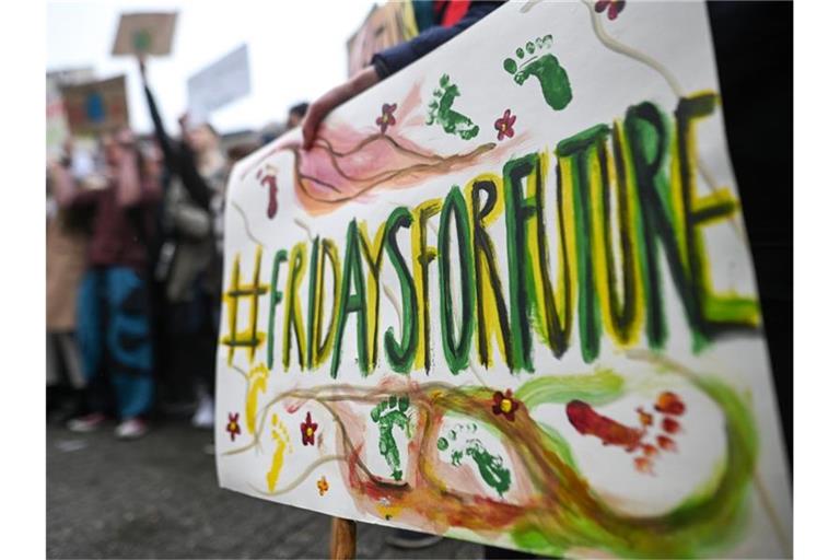 Schild bei einer "Fridaysforfuture"-Demo im Frühjahr 2019. Foto: Sebastian Gollnow/dpa